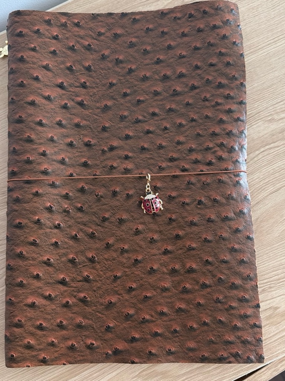 A4 Brown Faux Ostrich Leather Journal with Ladybug Charm.
